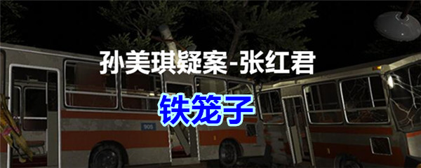 《孙美琪疑案-张红君》五级线索——铁笼子