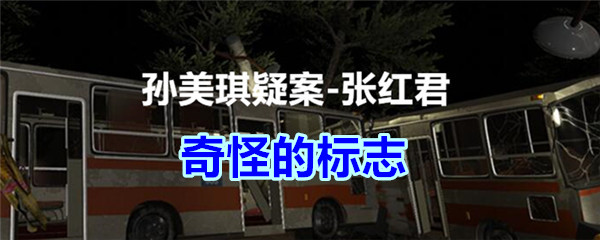 《孙美琪疑案-张红君》五级线索——奇怪的标志