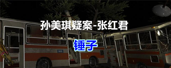 《孙美琪疑案-张红君》五级线索——锤子