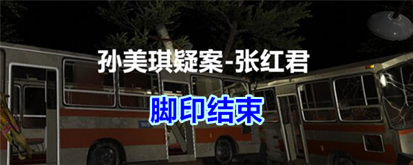 《孙美琪疑案-张红君》五级线索——脚印结束