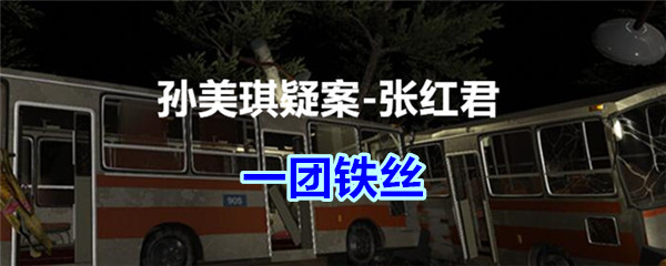 《孙美琪疑案-张红君》五级线索——一团铁丝
