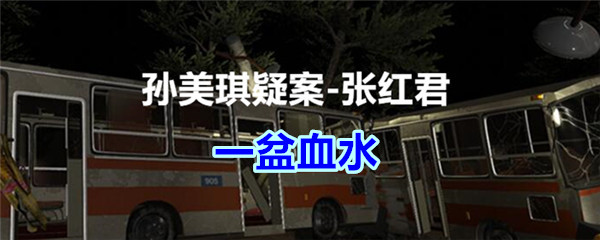 《孙美琪疑案-张红君》四级线索——一盆血水