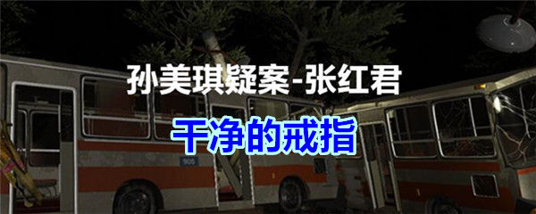 《孙美琪疑案-张红君》四级线索——干净的戒指