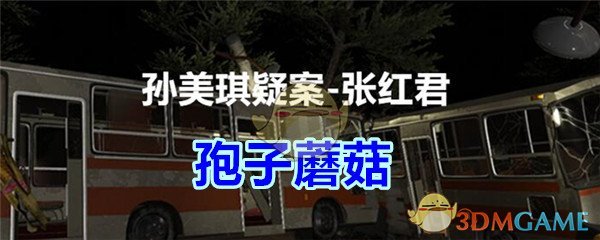 《孙美琪疑案-张红君》三级线索——孢子蘑菇