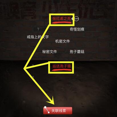 《孙美琪疑案-张红君》三级线索——案情还原