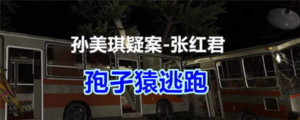 《孙美琪疑案-张红君》三级线索——孢孑猿逃跑
