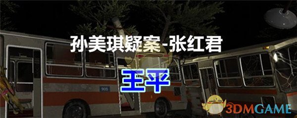 《孙美琪疑案-张红君》二级线索——王平