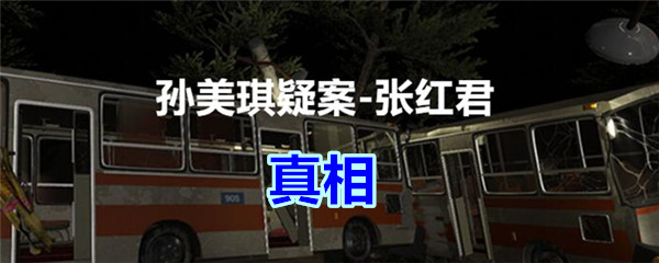 《孙美琪疑案-张红君》一级线索——真相