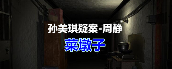 《孙美琪疑案-周静》五级线索——菜墩子