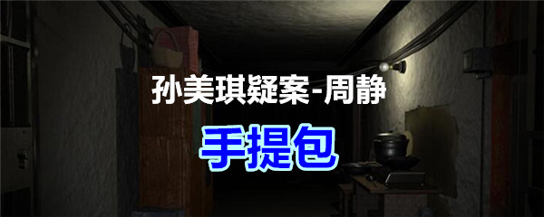 《孙美琪疑案-周静》五级线索——手提包