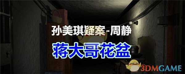 《孙美琪疑案-周静》五级线索——蒋大哥花盆