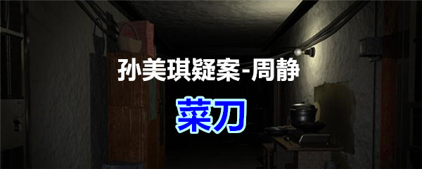 《孙美琪疑案-周静》四级线索——菜刀