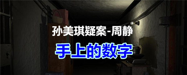《孙美琪疑案-周静》四级线索——手上的数字