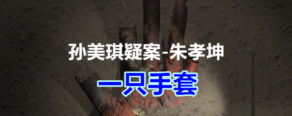 《孙美琪疑案-朱孝坤》五级线索——一只手套