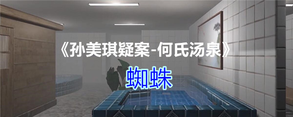 《孙美琪疑案-何氏汤泉》四级线索——蜘蛛