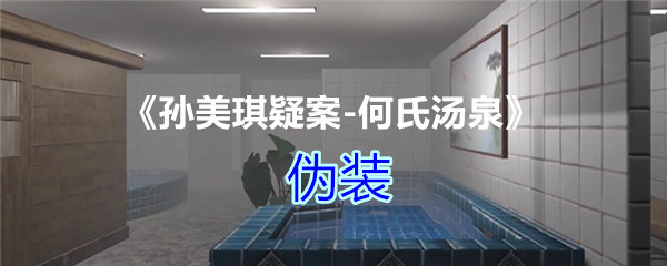 《孙美琪疑案-何氏汤泉》三级线索——伪装