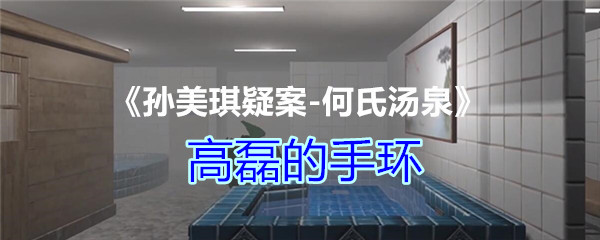 《孙美琪疑案-何氏汤泉》四级线索——高磊的手环
