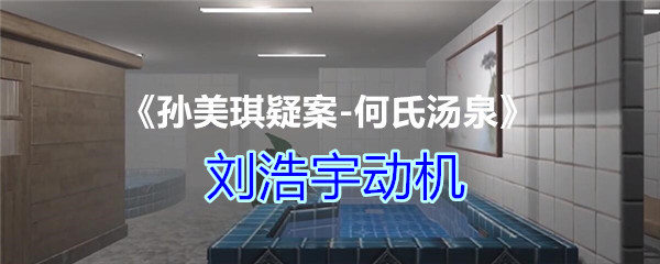 《孙美琪疑案-何氏汤泉》四级线索——刘浩宇动机