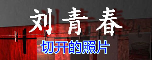 《孙美琪疑案-刘青春》五级线索——切开的照片