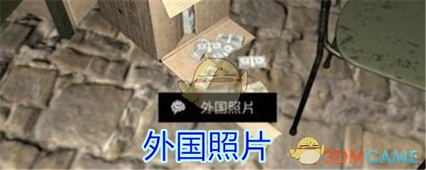 《孙美琪疑案-郎冥其》四级线索——外国照片