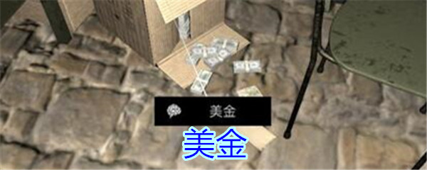 《孙美琪疑案-郎冥其》四级线索——美金