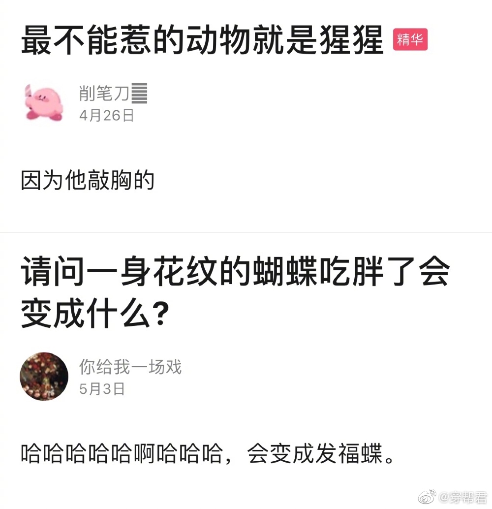 有哪些特别好笑的谐音梗