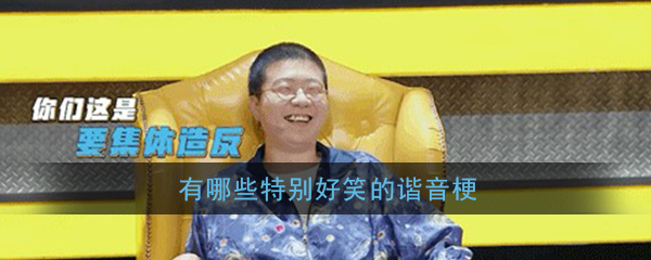 有哪些特别好笑的谐音梗