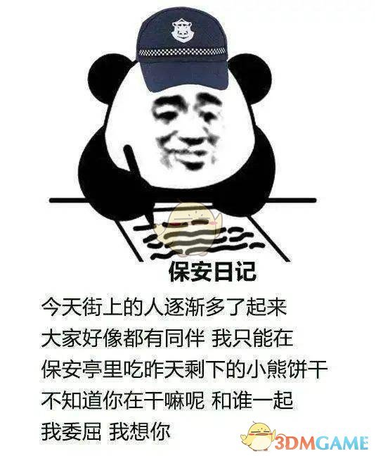 保安日记是什么梗