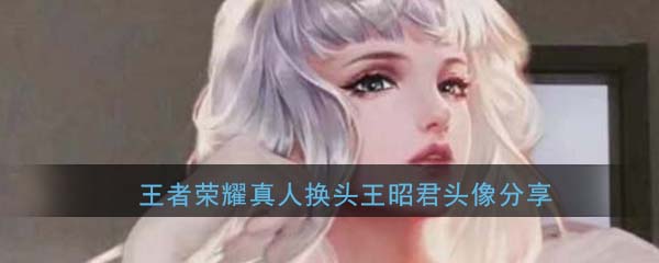 王者荣耀真人换头王昭君头像分享