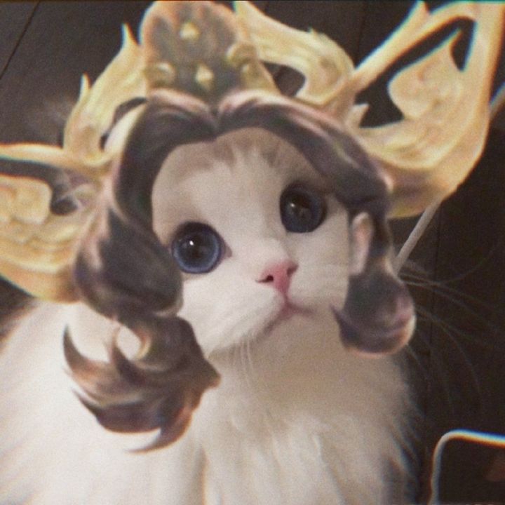 《王者荣耀》猫咪接头头像大全