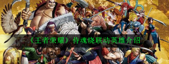 《王者荣耀》侍魂晓联动英雄介绍