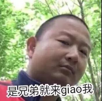 giao哥表情包大全