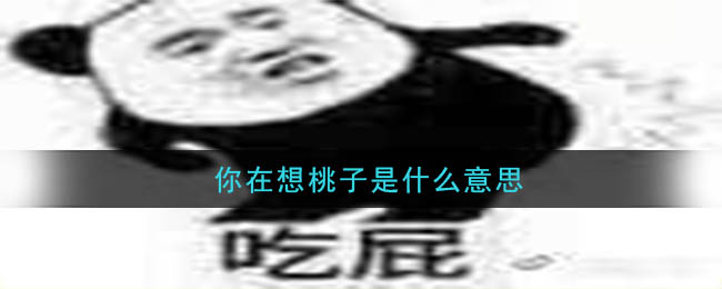 你在想桃子是什么意思