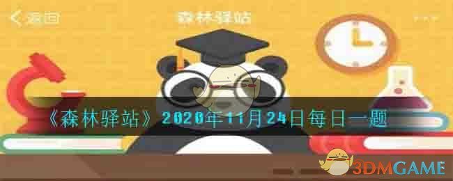 《森林驿站》2020年11月24日每日一题