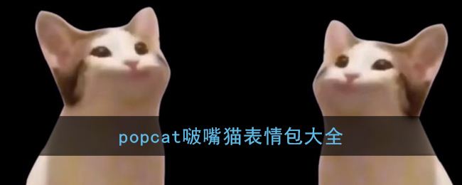 popcat啵嘴貓表情包大全