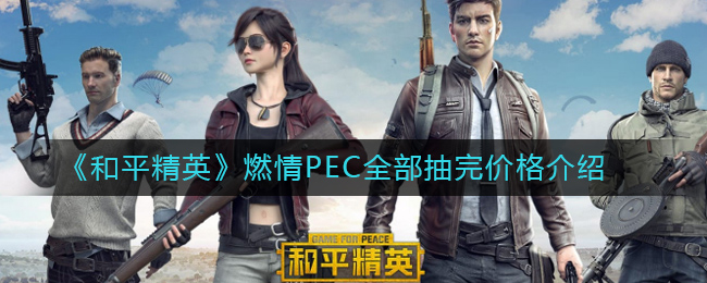 《和平精英》燃情PEC全部抽完价格介绍