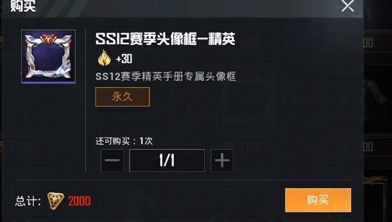 《和平精英》ss12特训套装一览